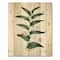Designart - Vintage Plant With Little White Flowers - Farmhouse Print on Natural Pine Wood
